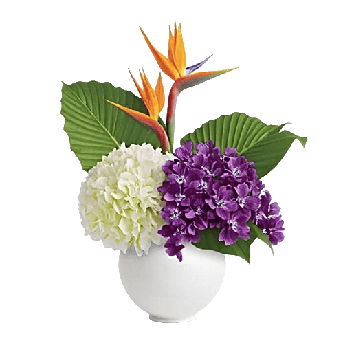 Orchid Bloom Cascade