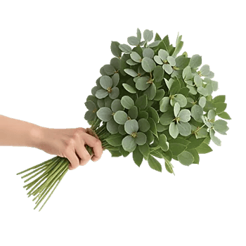 Emerald Leaf Harmony