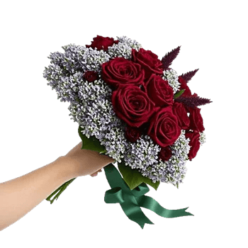 Crimson Rose Elegance