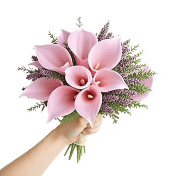 Elegant Calla Lilies