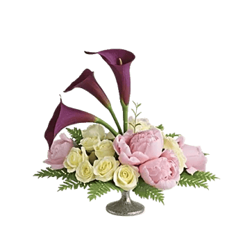 Elegant Calla Lilies