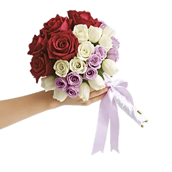 Delicate Petal Cascade