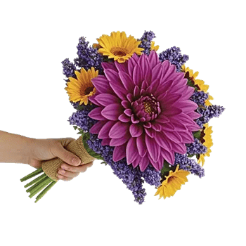 Radiant Bloom Cascade