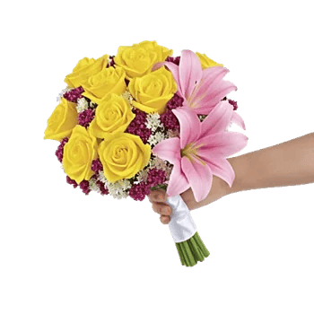 Blushing Rose Symphony