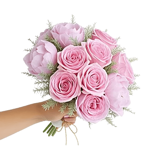 Pastel Pink Roses