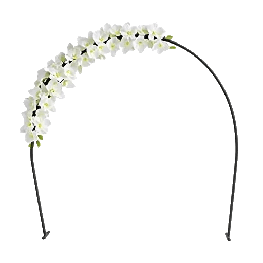 Modern White Orchids