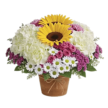 Amber Sunflower Glow