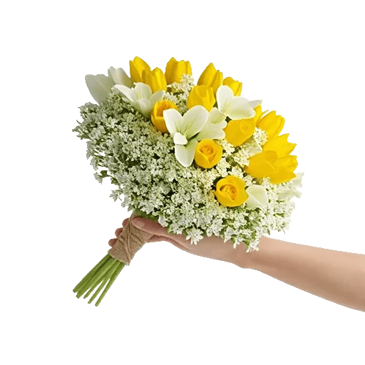 Blossom Harmony Display