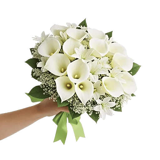Elegant Calla Lilies