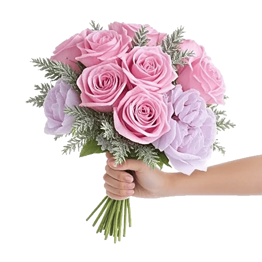 Pastel Pink Roses