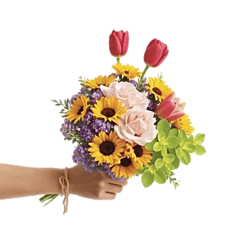 Blossom Harmony Display