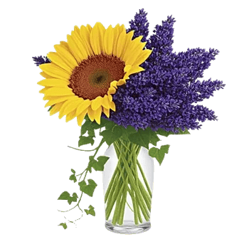 Radiant Bloom Cascade