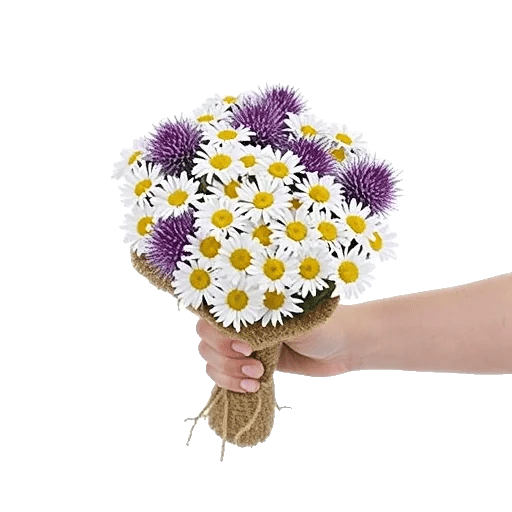 Daisy Meadow Spread
