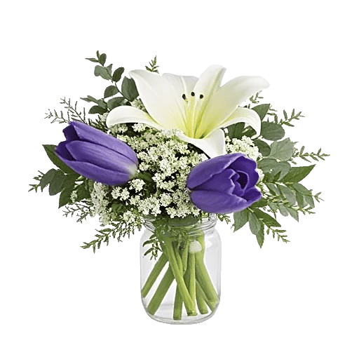 Velvet Tulip Display