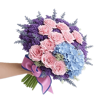 Pastel Pink Roses