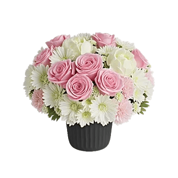 Petal Radiance Bliss
