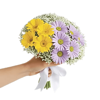 Blossom Harmony Display