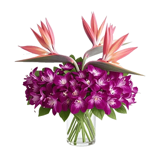 Orchid Bloom Cascade