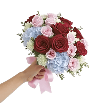 Blushing Rose Symphony