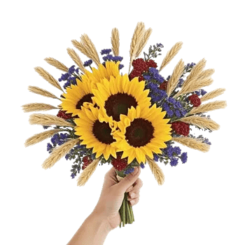 Twinkling Sunflower Dance