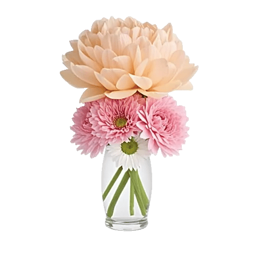 Petal Radiance Bliss