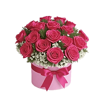 Pastel Pink Roses