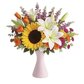 Petal Radiance Bliss