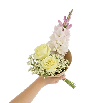 Ivory Garden Grace