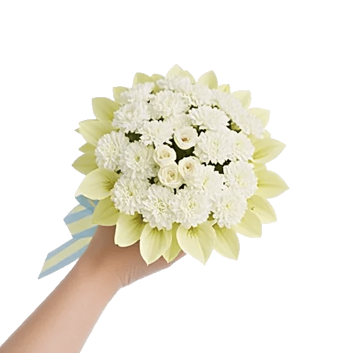 Ivory Garden Grace