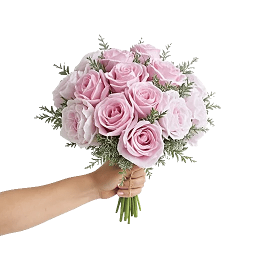 Pastel Pink Roses