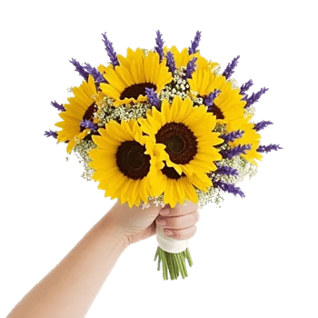 Twinkling Sunflower Dance