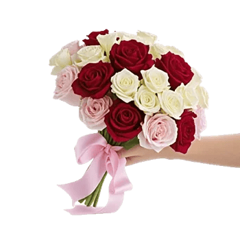 Blushing Rose Symphony