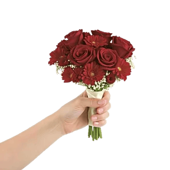 Crimson Rose Elegance