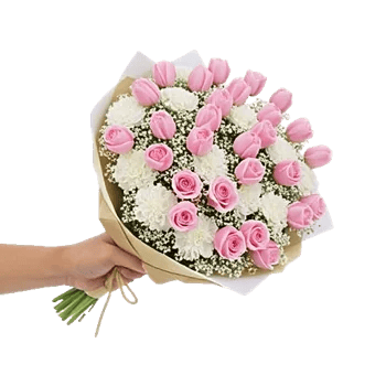 Blossom Harmony Display