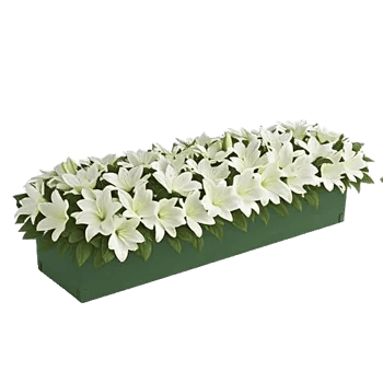 Graceful Lily Display