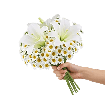 Graceful Lily Display