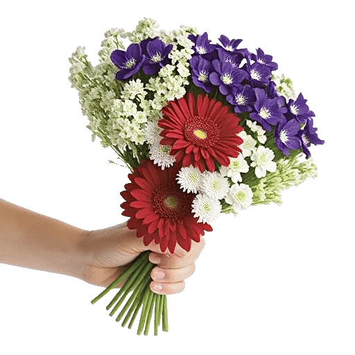 Blossom Harmony Display