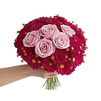 Blushing Rose Symphony