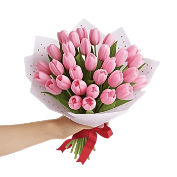 Velvet Tulip Display