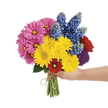 Blossom Harmony Display