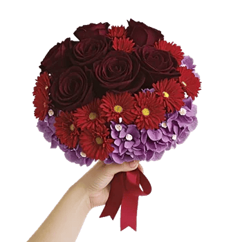 Crimson Rose Elegance