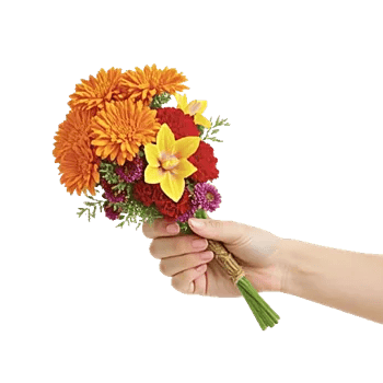 Vibrant Orange Delight