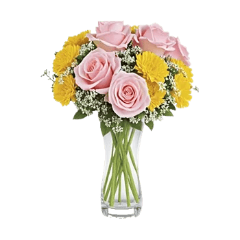 Pink Pastel Roses