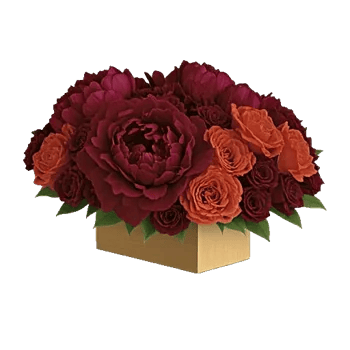 Petal Radiance Bliss