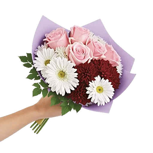 Blushing Rose Symphony