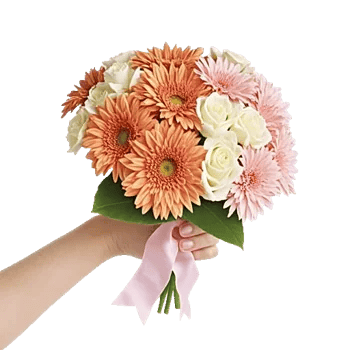 Petal Harmony Bliss