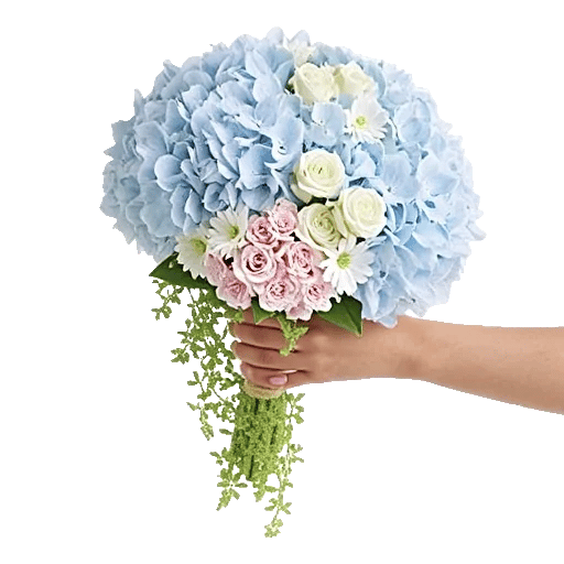 Delicate Petal Cascade