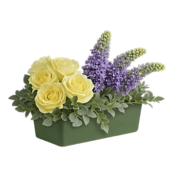 Delicate Petal Cascade