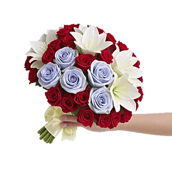 Blushing Rose Symphony