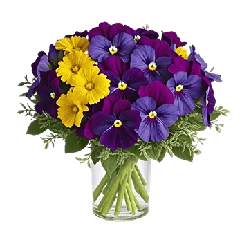 Petal Radiance Bliss